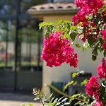 Le Domaine De Ferrat 게스트하우스 미람보