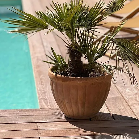 Le Domaine De Ferrat Mirambeau (Charente-Maritime)