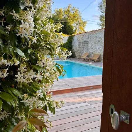 Le Domaine De Ferrat Guest house Mirambeau (Charente-Maritime)