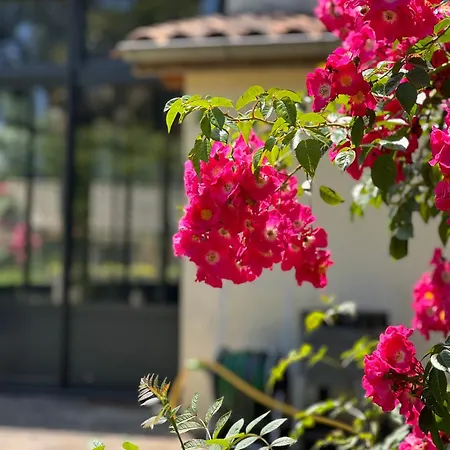 Le Domaine De Ferrat Gæstehus Mirambeau (Charente-Maritime)