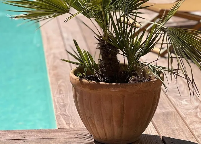 Le Domaine De Ferrat Mirambeau (Charente-Maritime)