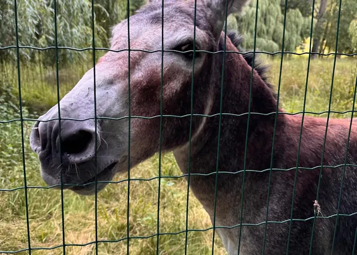 Le Domaine De Ferrat Gasthof 3*