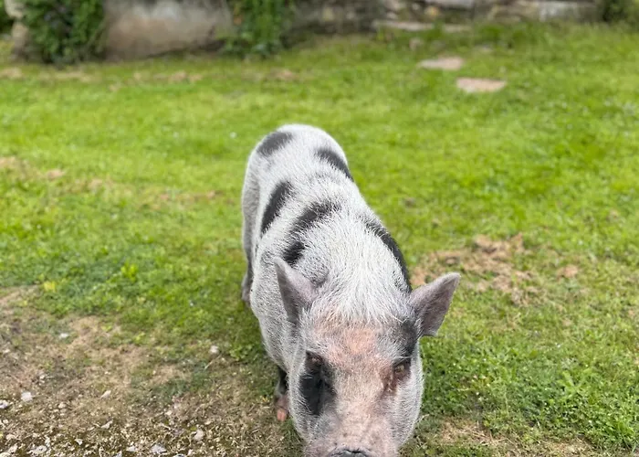 Le Domaine De Ferrat 3* Mirambeau (Charente-Maritime)