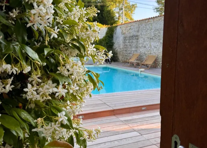 Le Domaine De Ferrat Gasthof Mirambeau (Charente-Maritime)