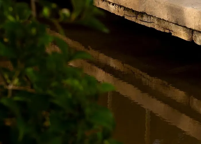 Le Domaine De Ferrat Gasthof Mirambeau (Charente-Maritime)