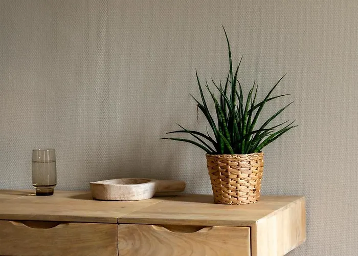 Le Domaine De Ferrat Gasthof Mirambeau (Charente-Maritime)