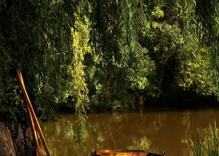 Le Domaine De Ferrat 3* Mirambeau (Charente-Maritime)